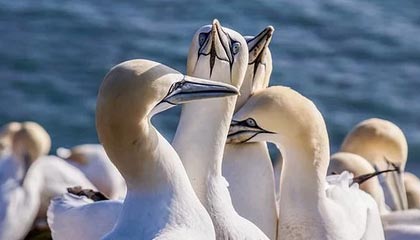 德清高价上海医保提取2025的最新政策(2025年德清上海医保怎么提取现金分享)