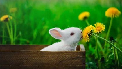 德清高价上海医保提取2025的最新政策(2025年德清上海医保怎么提取现金分享)